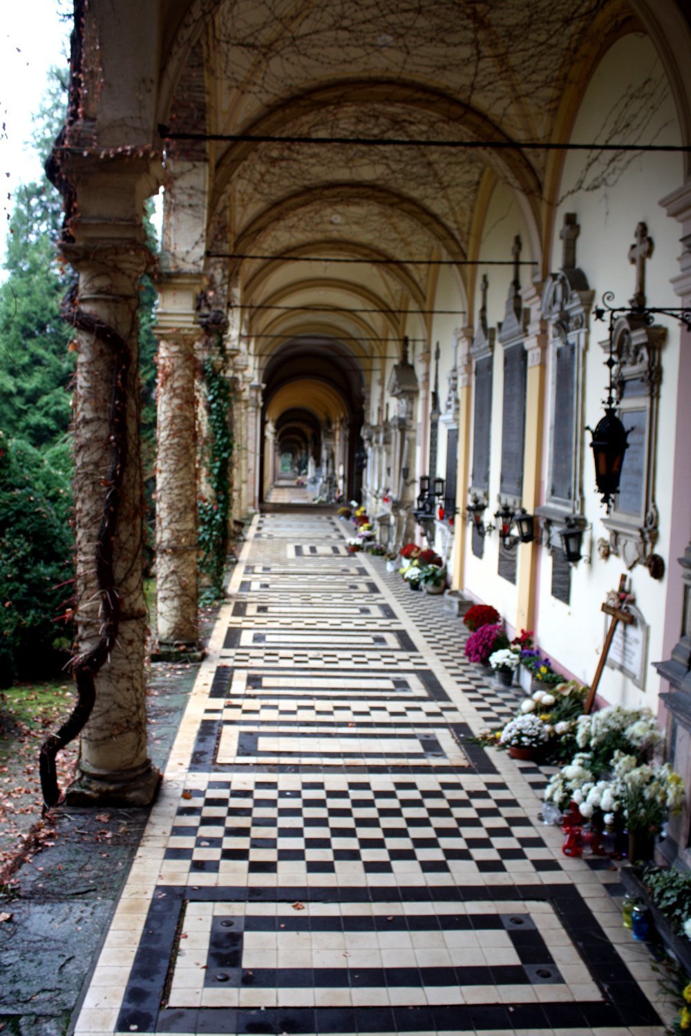 mirogoj