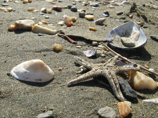 n553067799_913420_9978-1272885694