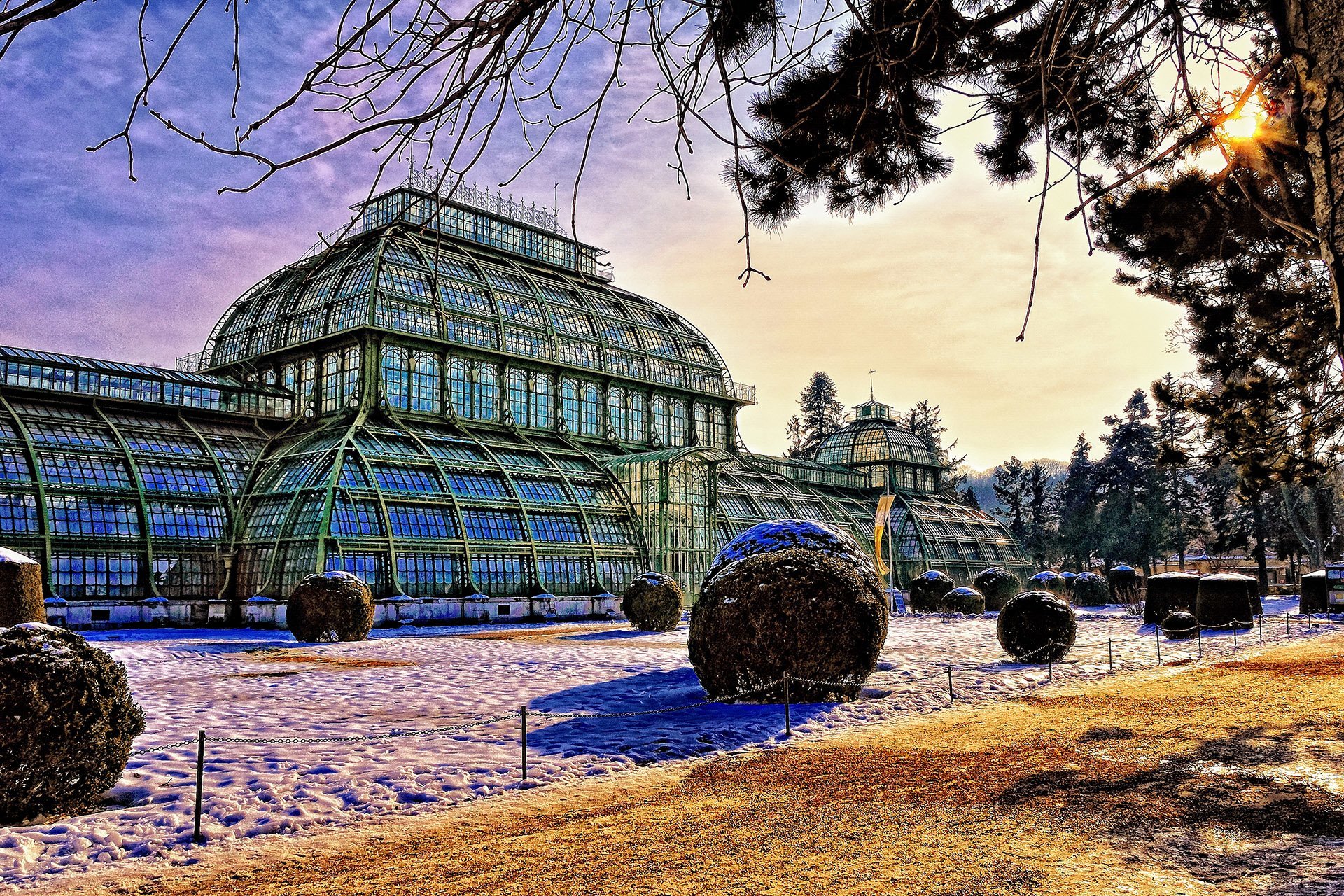 palm house
