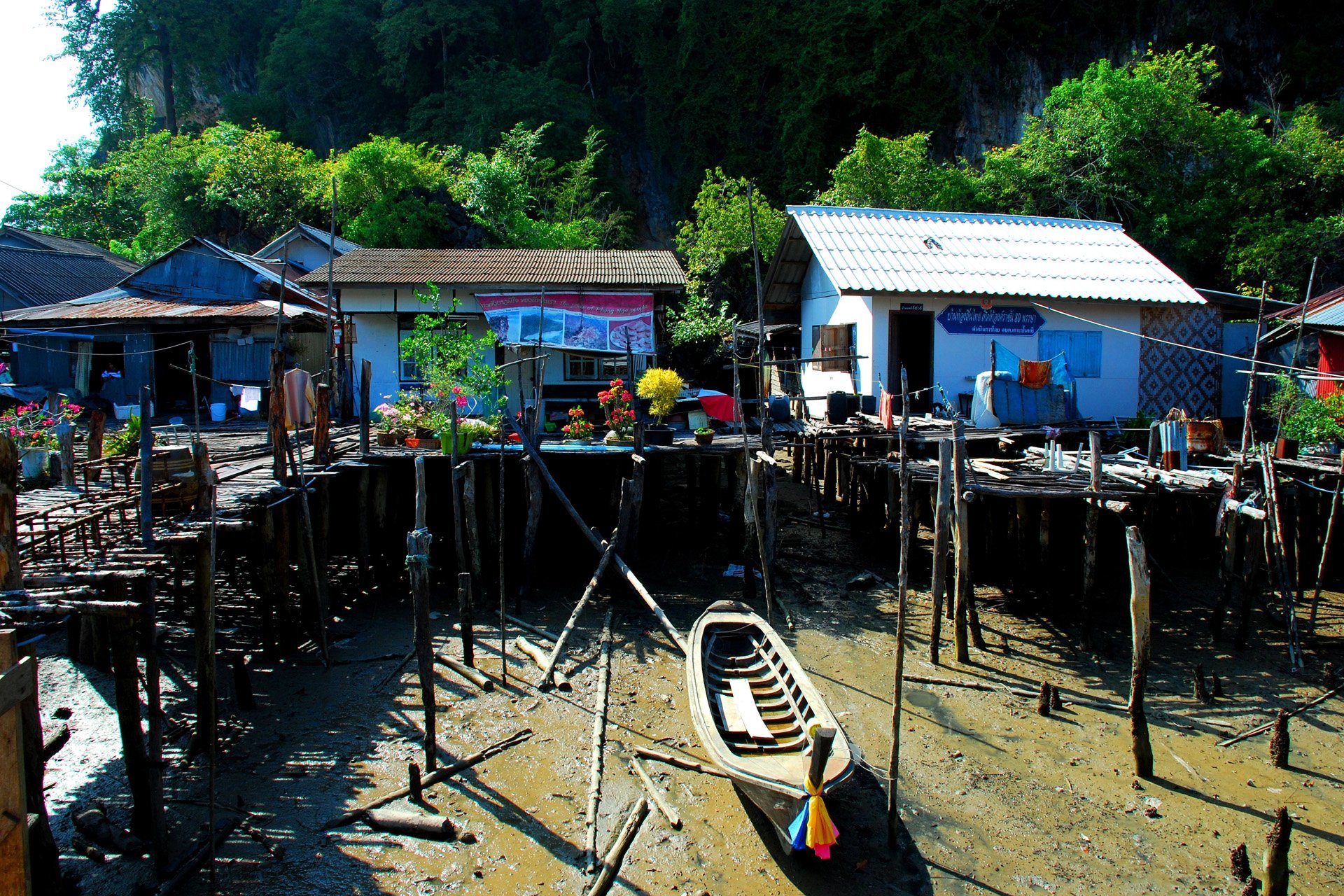 phuket adası fotoğrafı