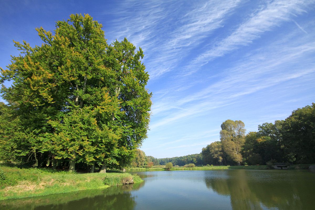 polonya resimleri - 15