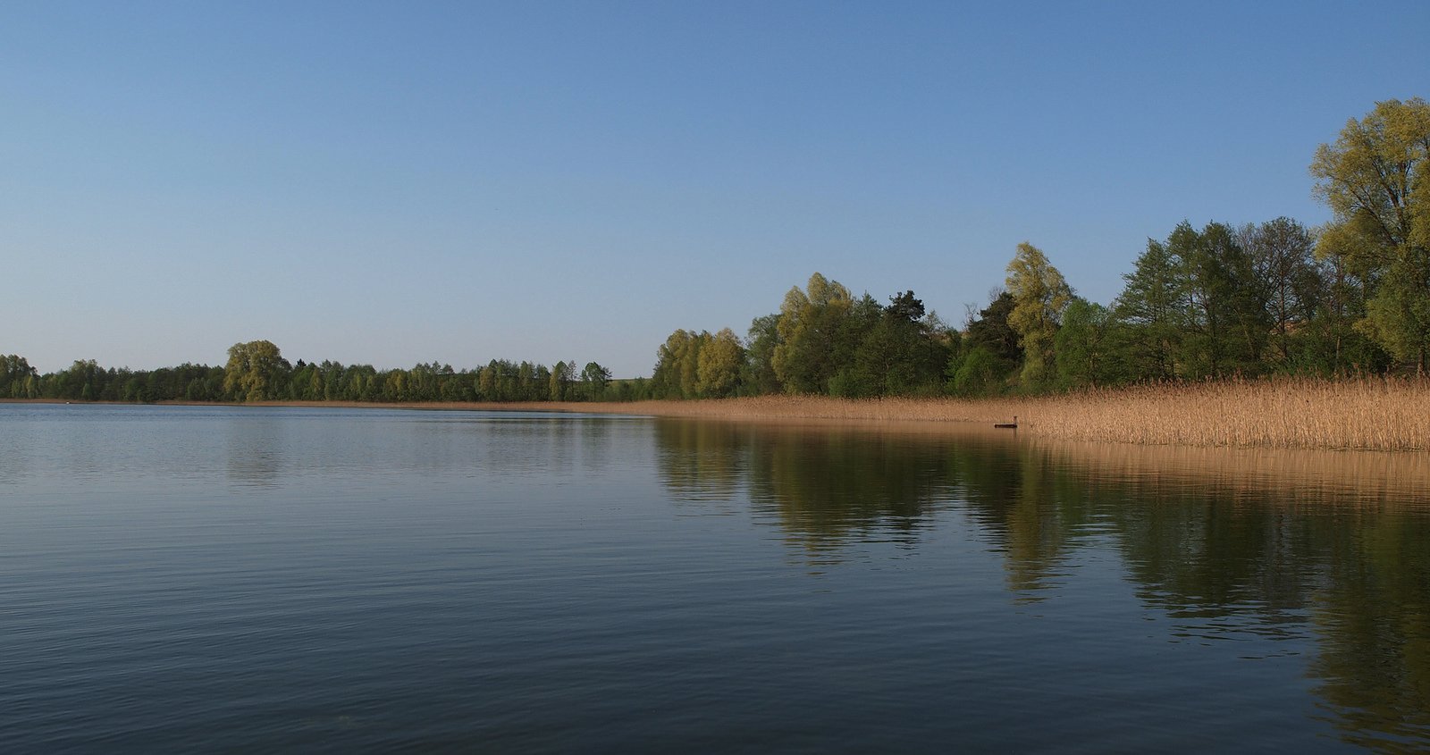 polonya resimleri - 19