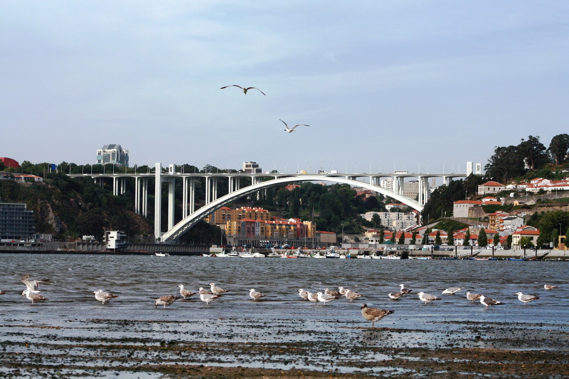 portekiz resimleri - 36