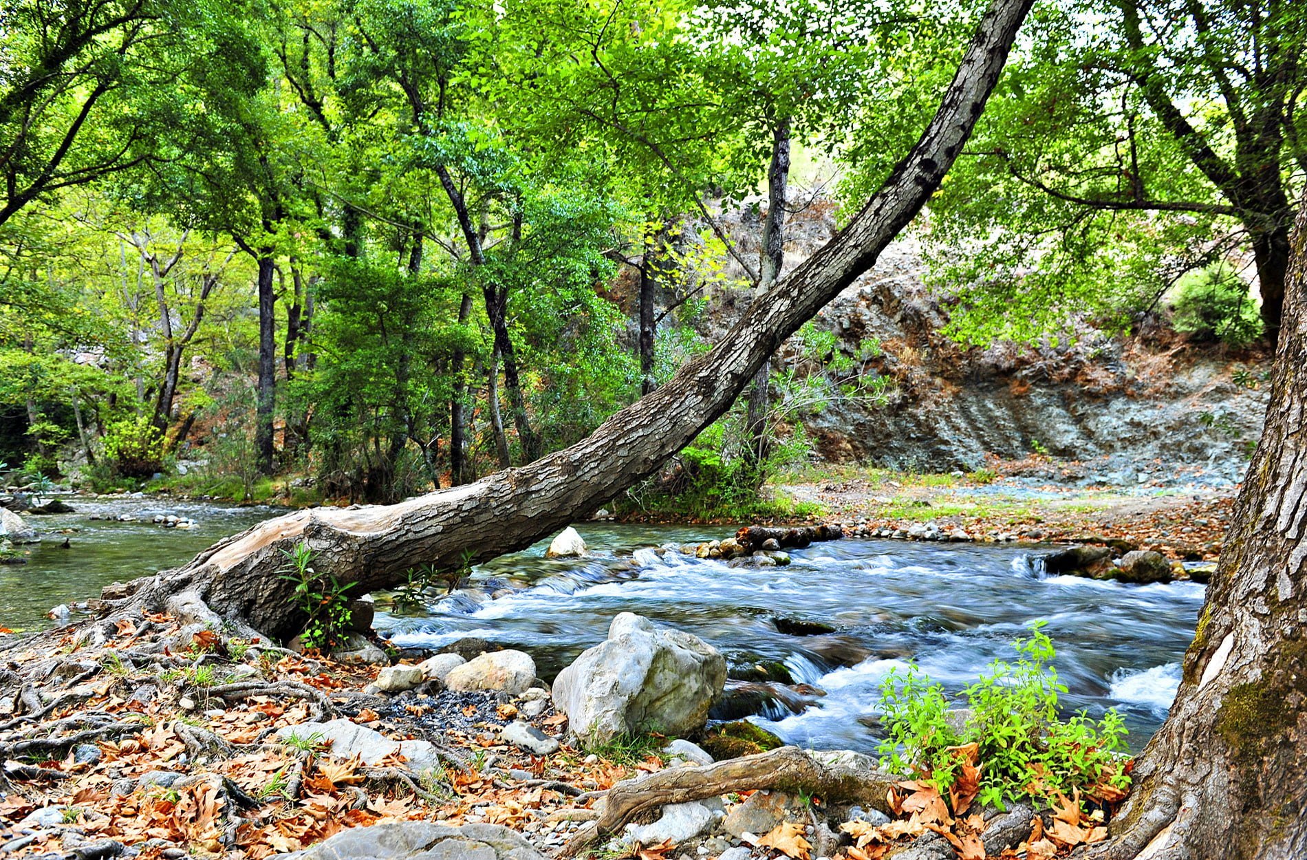 pınarbaşı - fethiye