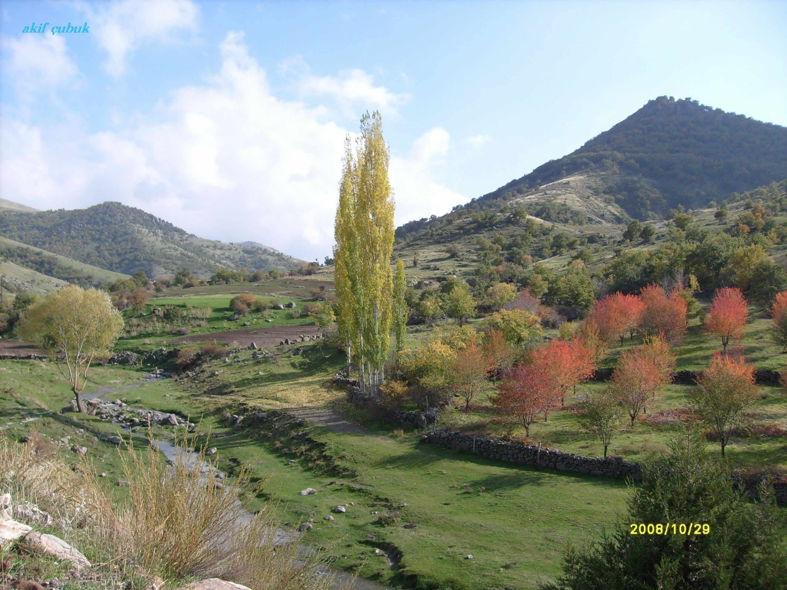 renk cümbüşü - 3