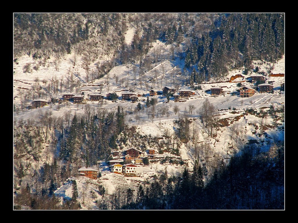 rize yeşiltepe
