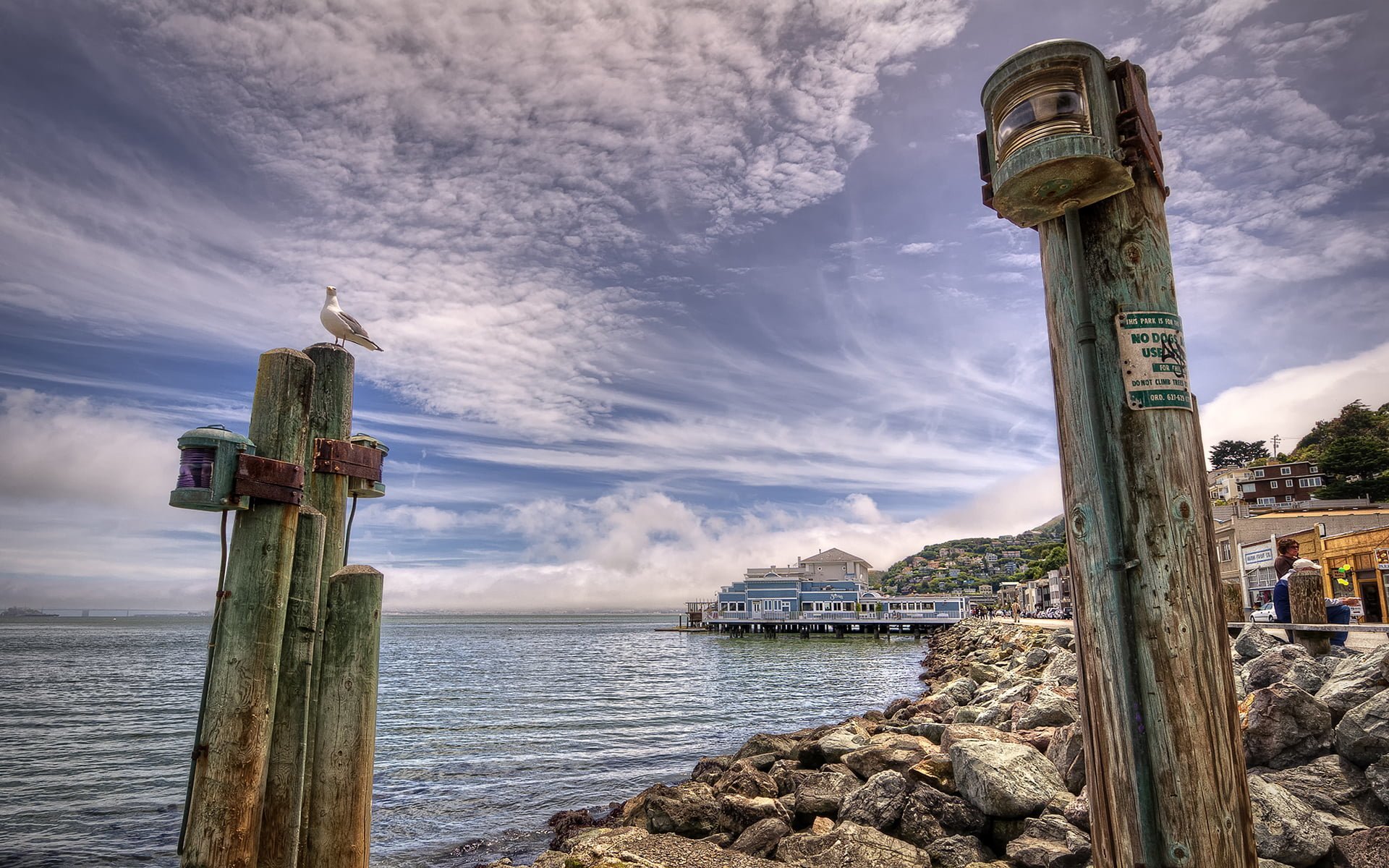 san francisco kıyı