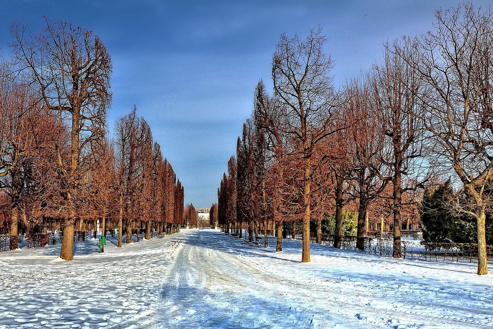 schönbrunn sarayı bahçesi - viyana