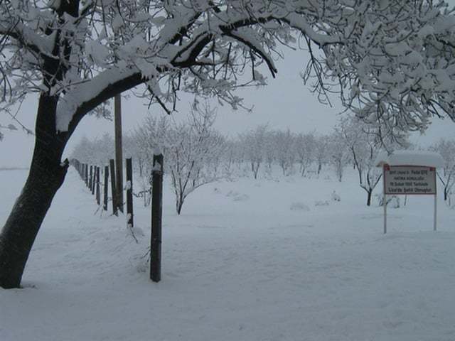 sehit-fedai-efe-hatira-ormani-1277047890