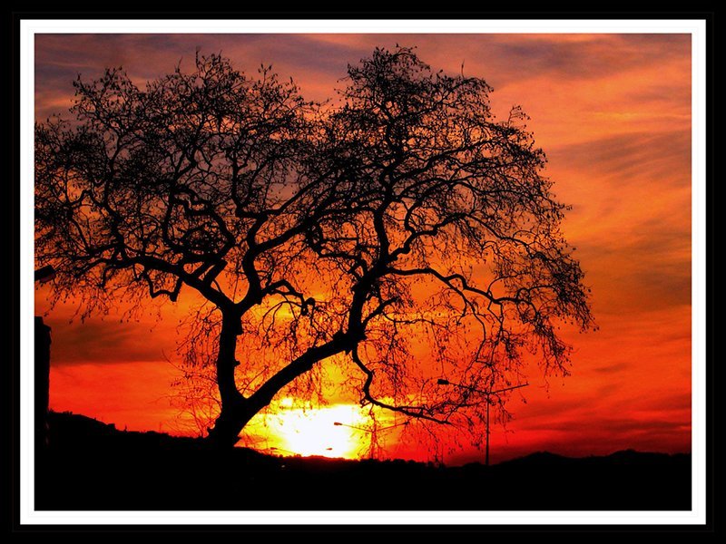 sonbahar ve gün batımı