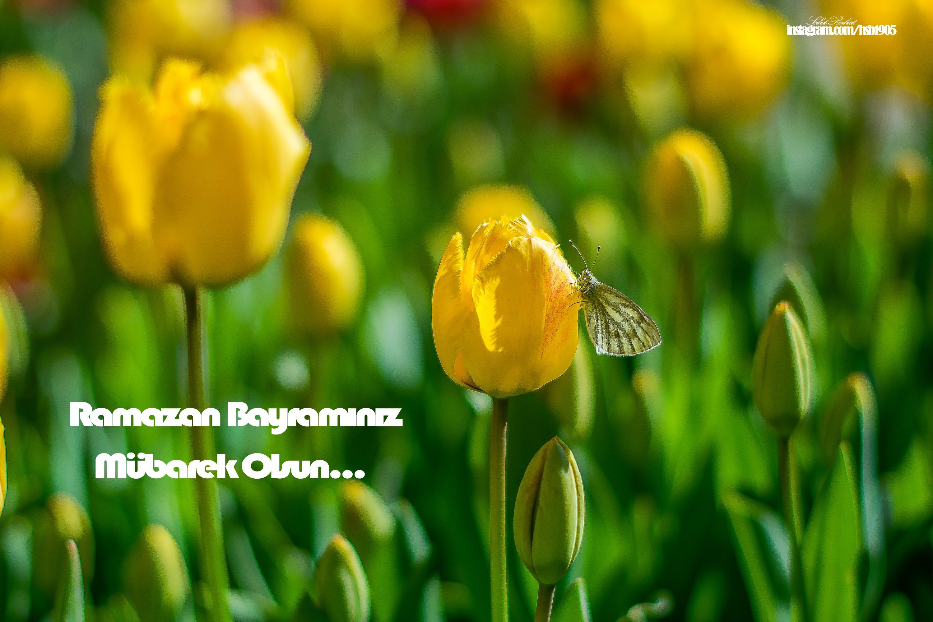 süper bayram mesajları