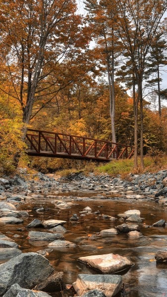 Sony Xperia Z2 HD Duvar kağıtları