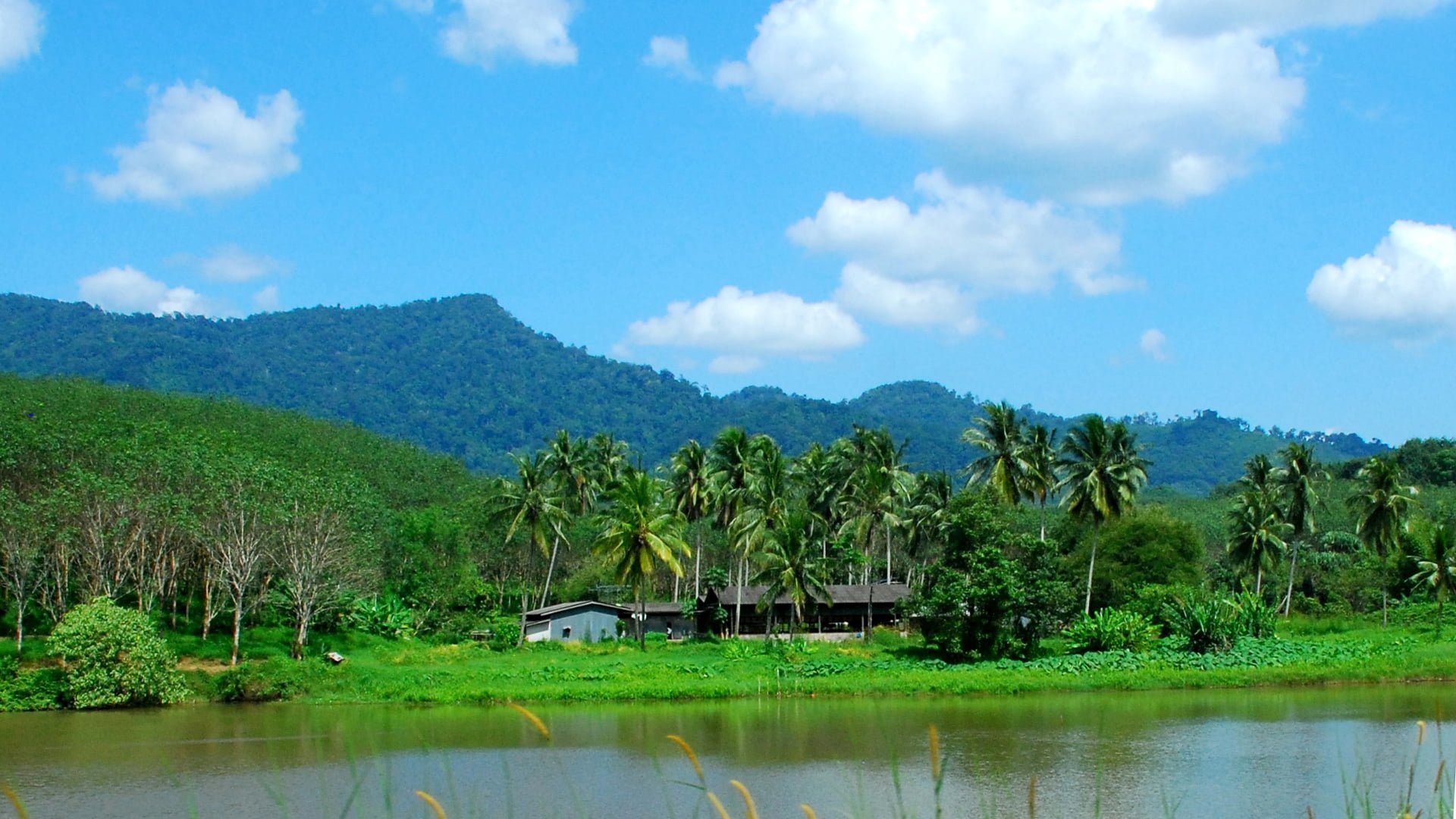 tayland fotoğrafları