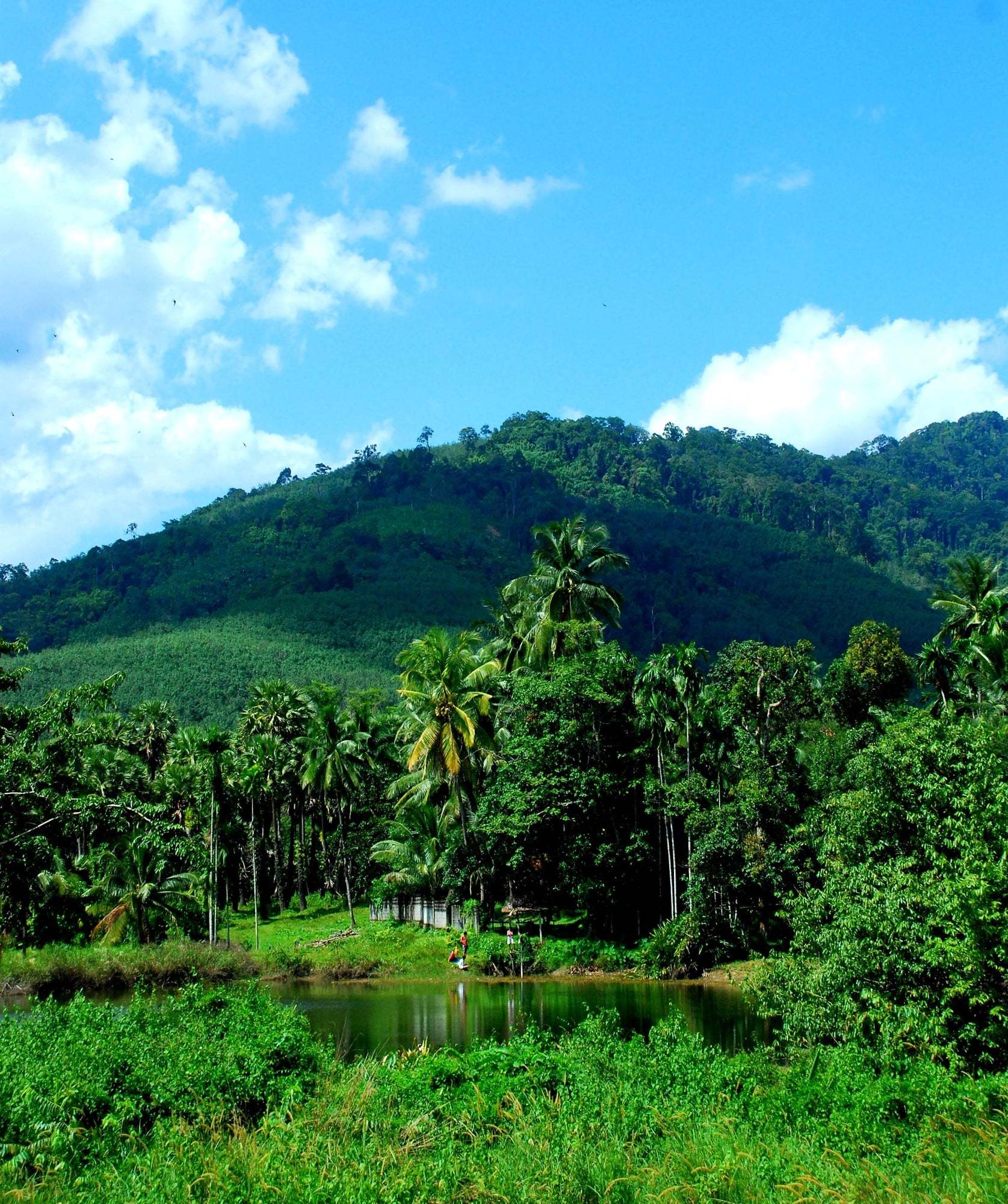 tayland manzaraları
