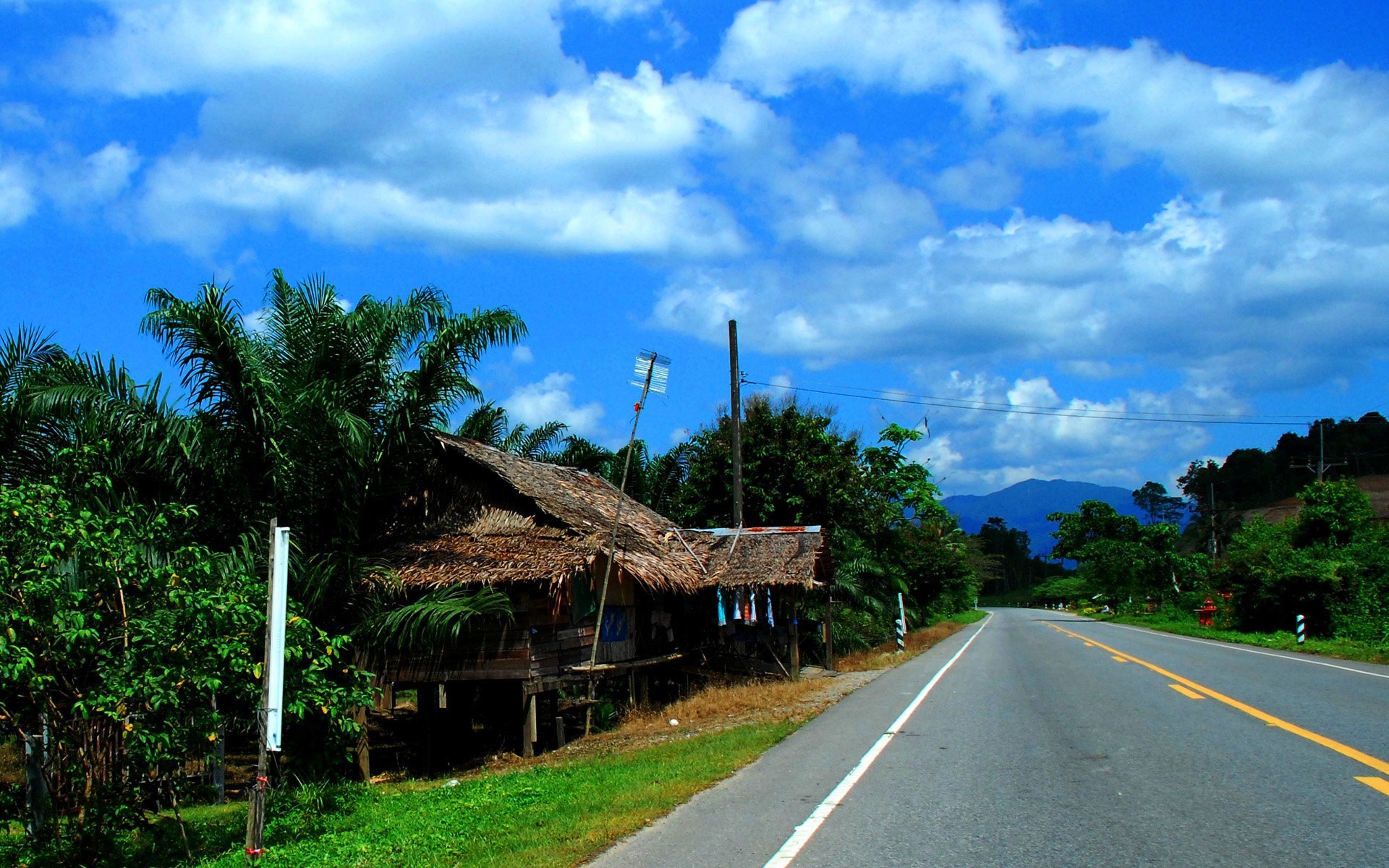 tayland resimleri - 5