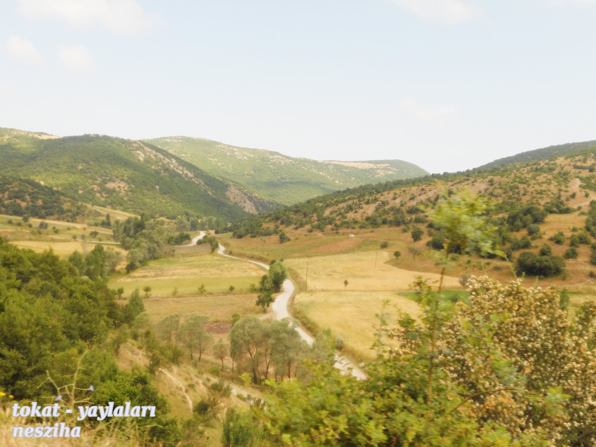 tokat ovacık yaylası