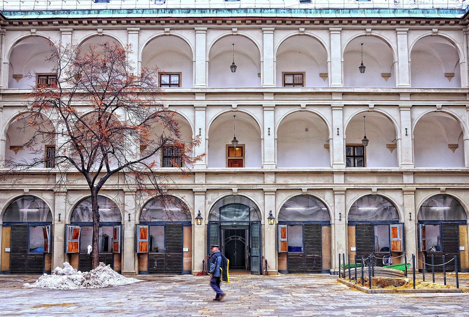 viyana ispanyol binicilik okulu