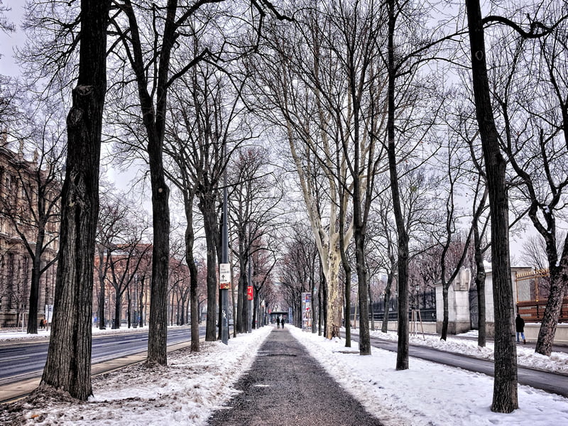 viyana resimleri - 2