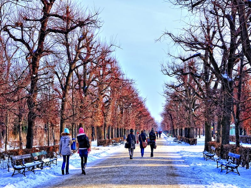 viyana resimleri - 3