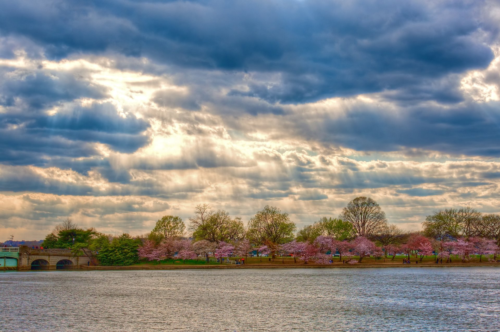 washington resimleri - 4