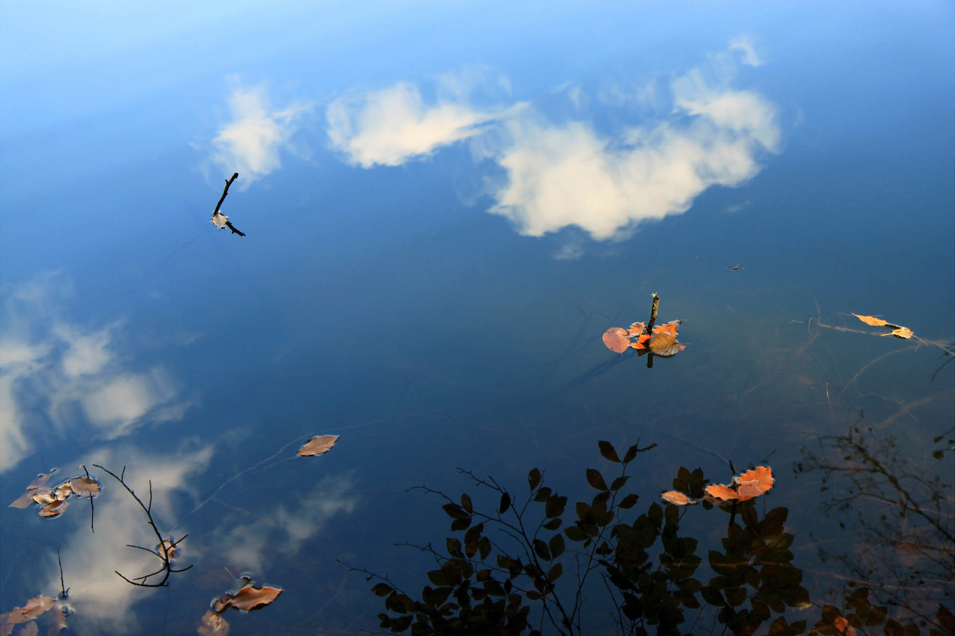yedigöller milli parkı fotoğrafları