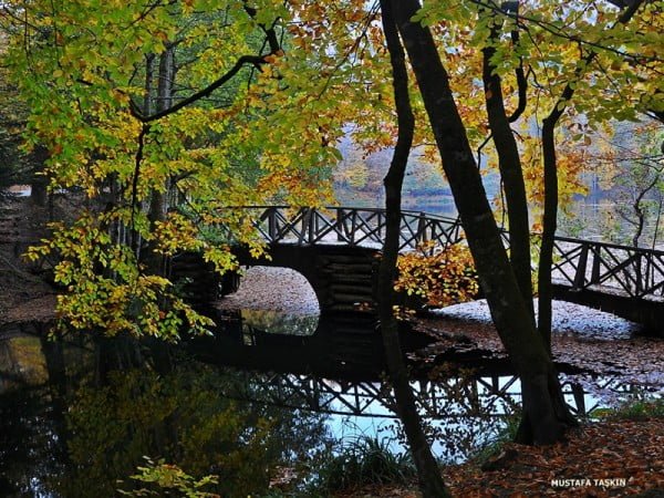 yedigöller - tahta köprü ve gölet