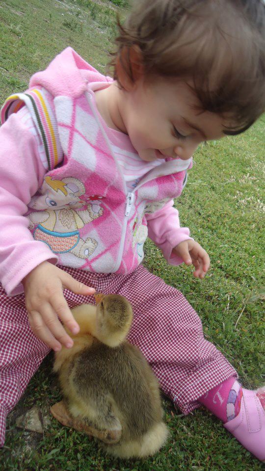 Bebek Resimleri Manzara Resimleri