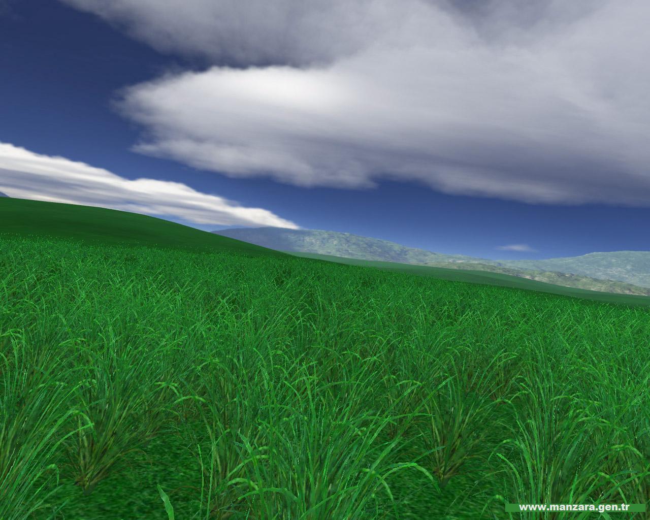 yesil-mavi-1-1298672847