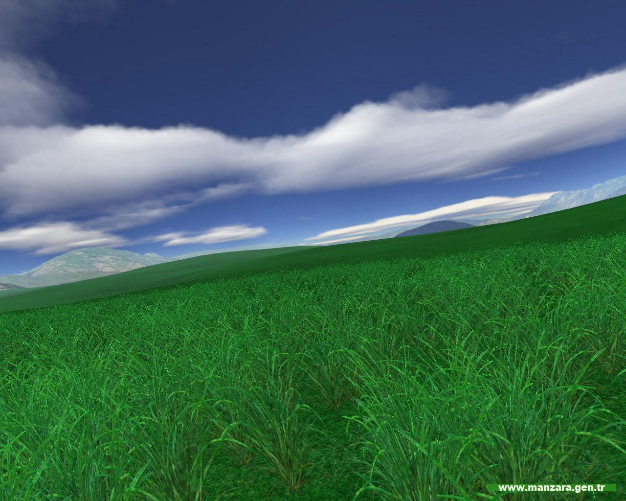 yesil-mavi-3-1298673183