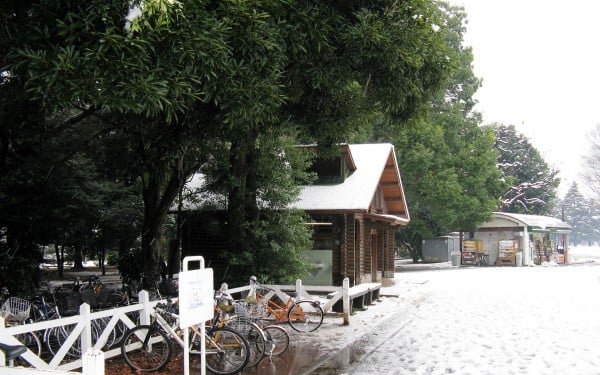 yoyogi park kar