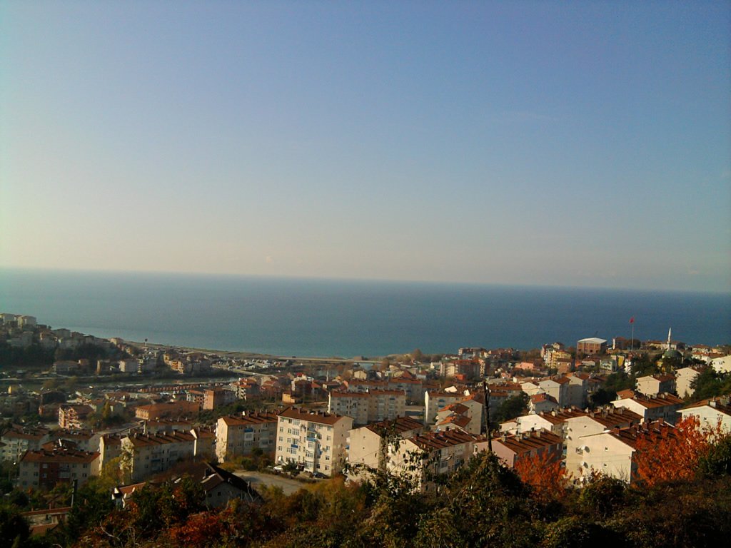zonguldak alaplı - 2
