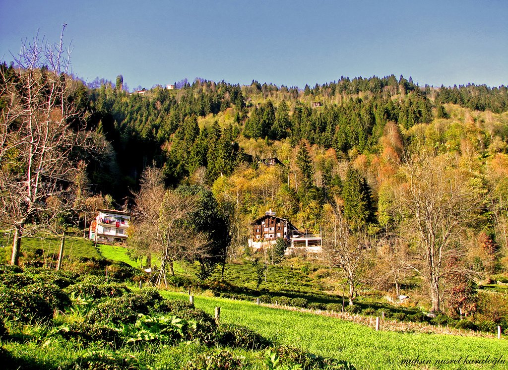 çayeli - kaptanpaşa