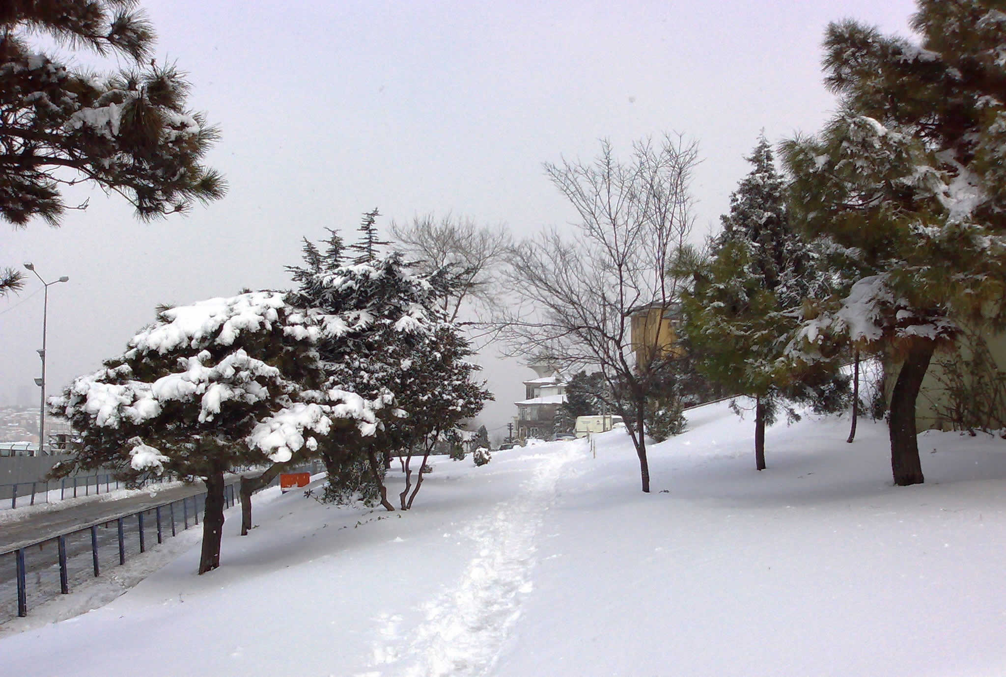 üsküdar şemsipaşa