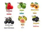 İspanyolca Meyve İsimleri