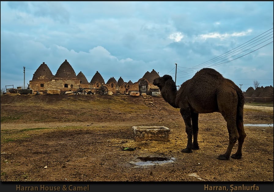 şanlıurfa resimleri - 2